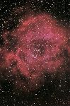 [262-Ngc 2244 HRVB.jpg] [1024x1539] [419.01 Ko]